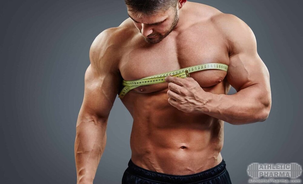 Результаты роста мышц